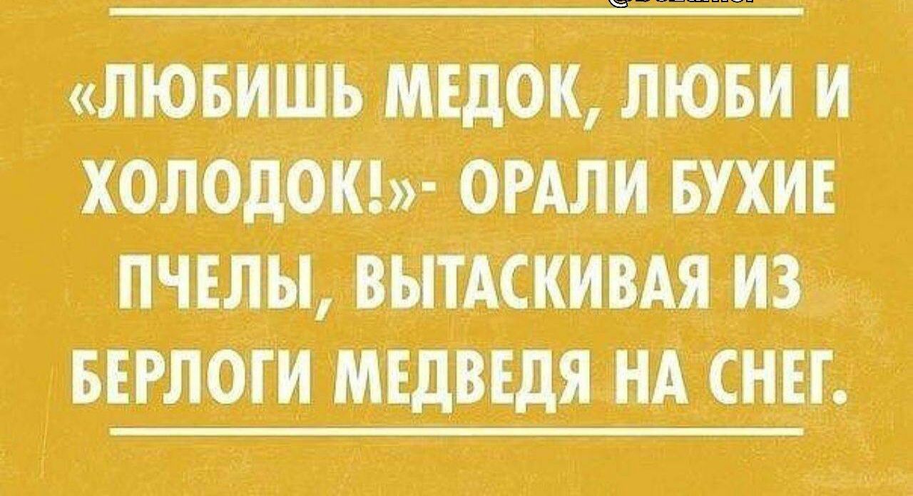 люви А мвдбк люди и холода пчелы АскивАя из вгглоги мщцшя нА СНЕГ