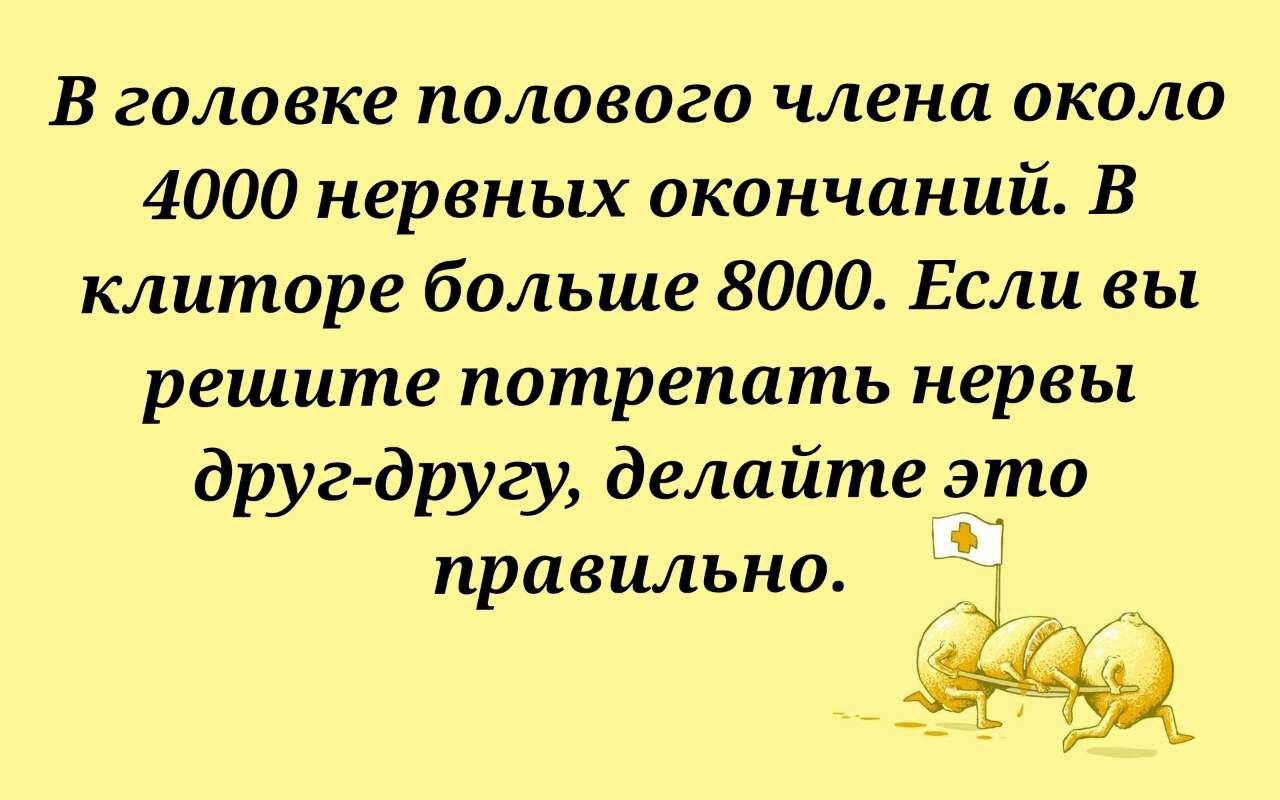 В головке ПО106020 члена ОКОЛО 4000 нервных окончаний В клиторе больше 8000 Если вы решите потрепать НСРВЬ друг другу делайте это правильно