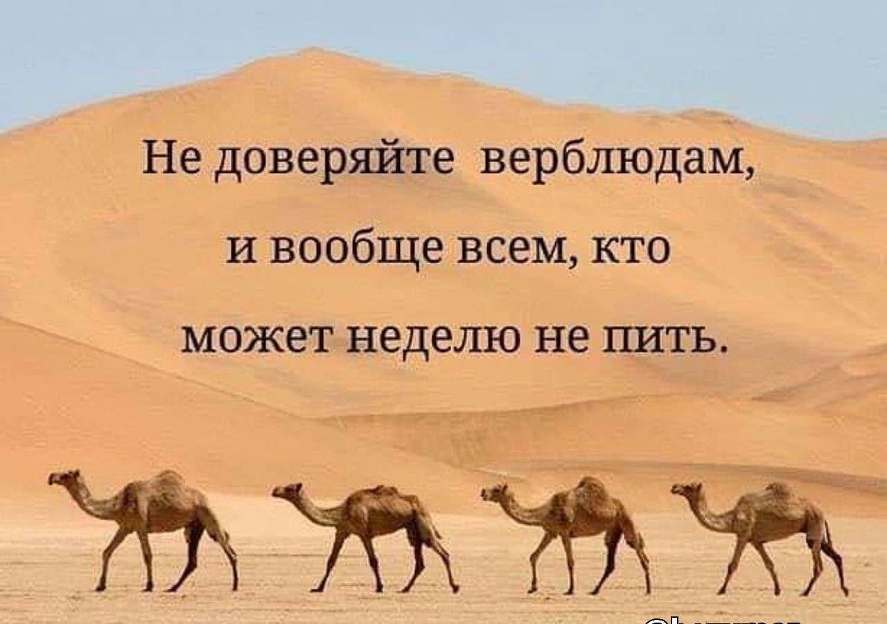 _ мн не пить