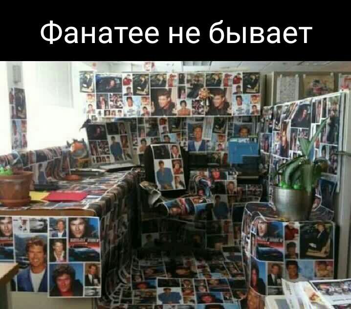 Фанатее не бывает