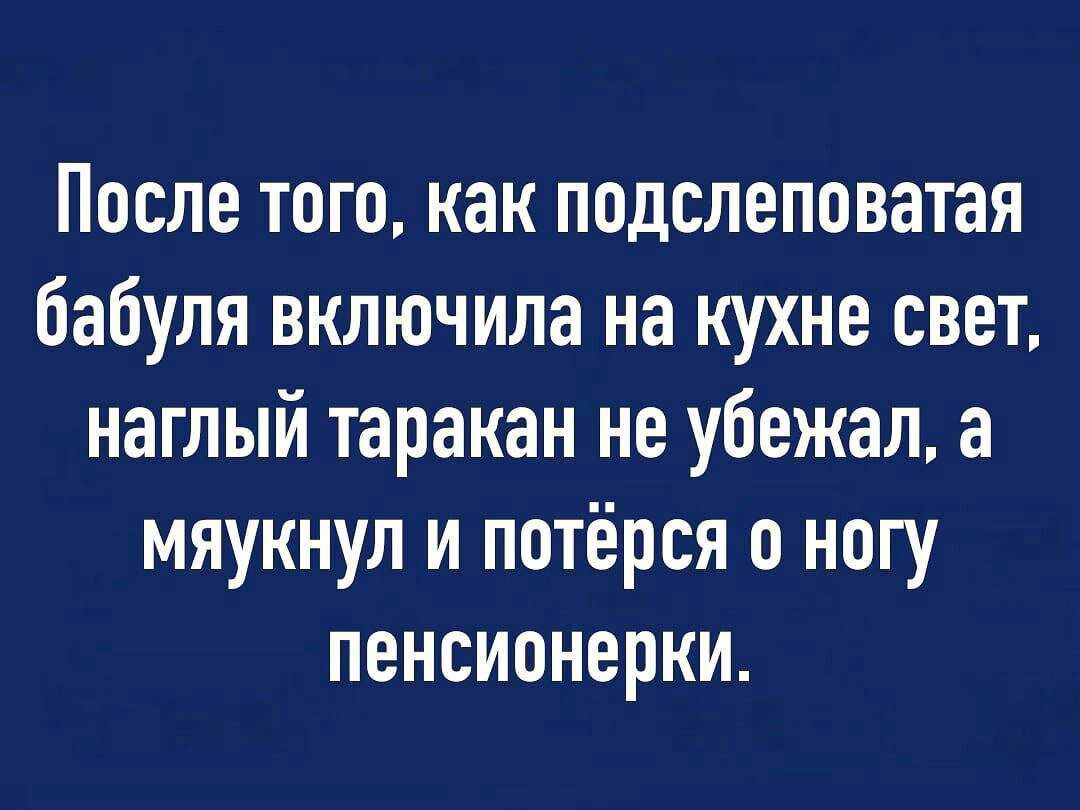 После того как подслеповатая бабуля включила на кухне свет наглый таракан не убежал а мяукнуп и потёрся о ногу пенсионерки