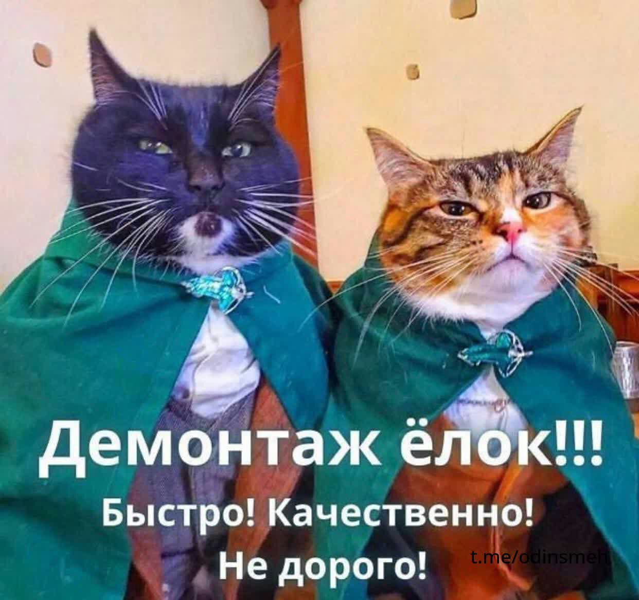 47 демонтаж ёійк Быстро Качественно Не дорого