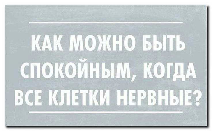 КАК МОЖНО БЫТЬ СПОКОЙНЫМ КОГДА ВСЕ КЛЕТКИ НЕРВНЫЕ