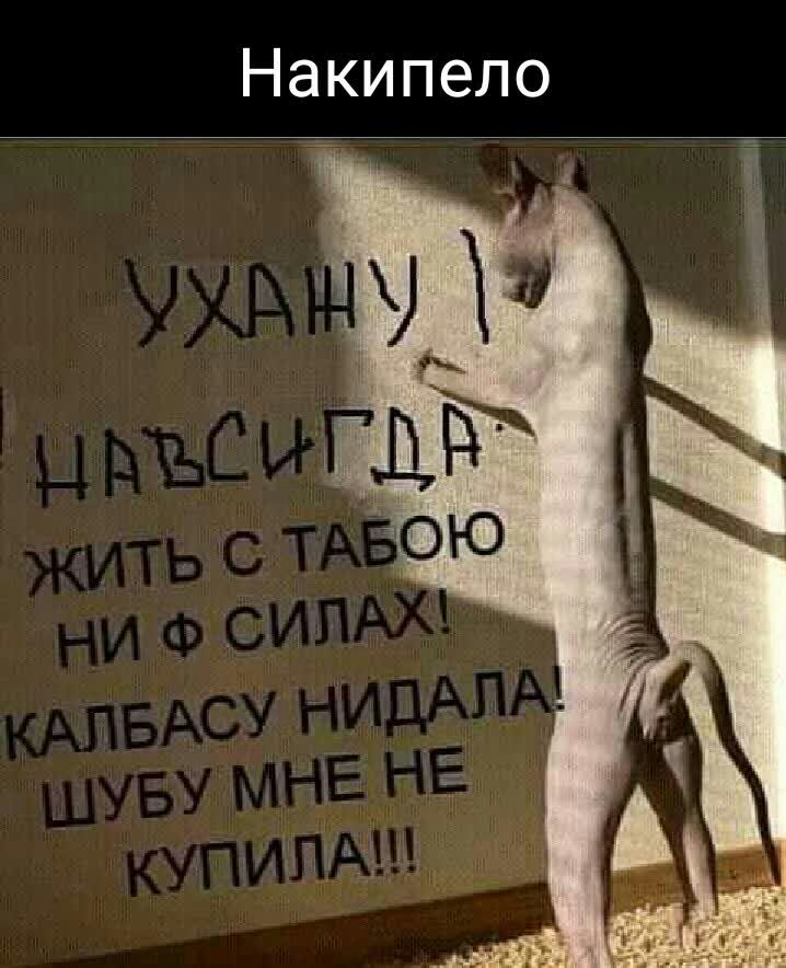 Накипело