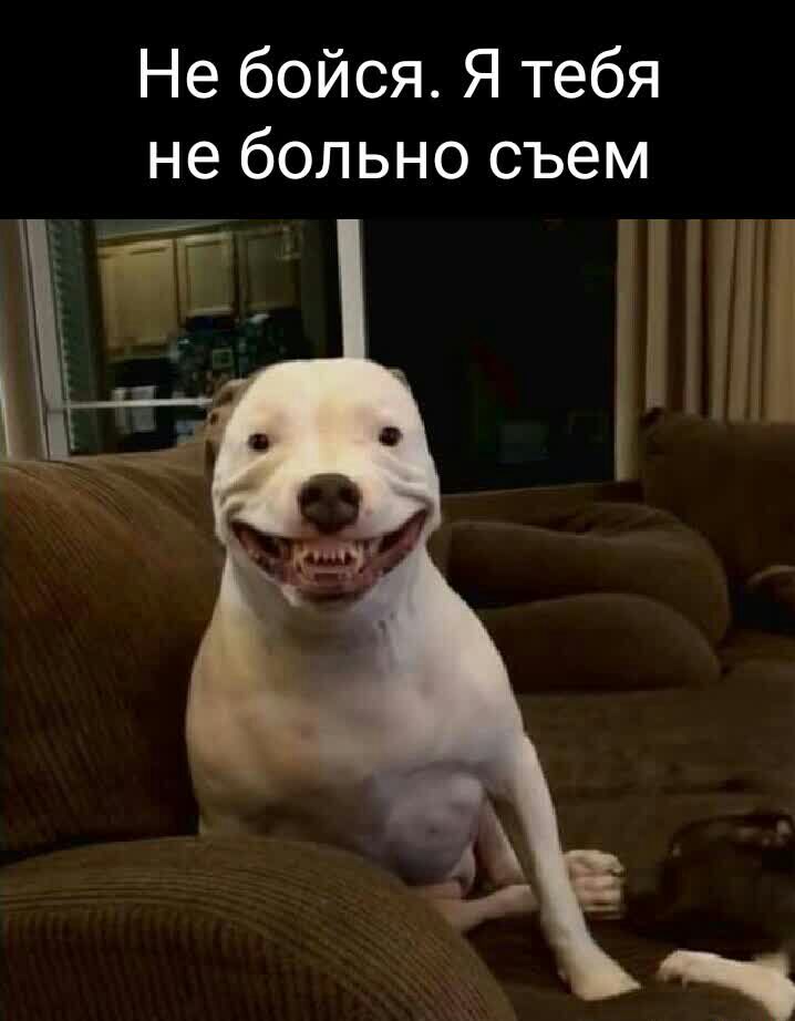 Не бойся Я тебя не больно съем ШМ