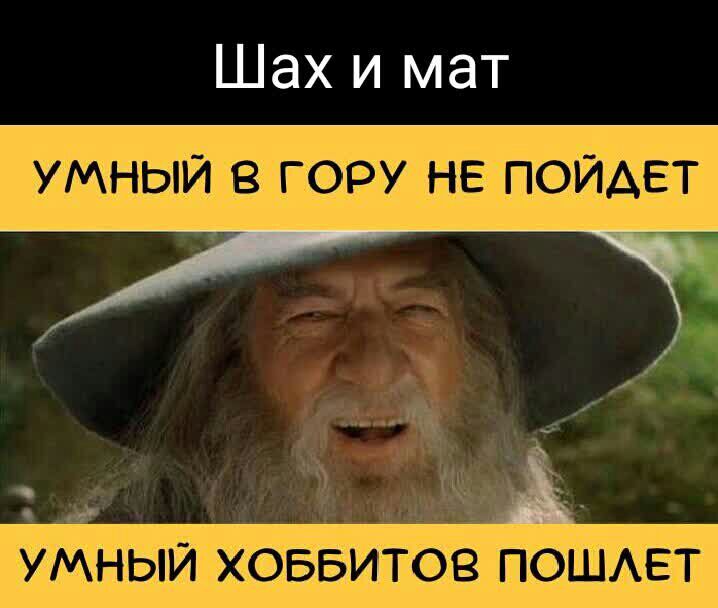 Шах и мат УМНЫЙ В ГОРУ НЕ ПОЙАЕТ УМНЫЙ ХОББИТОВ ПОШЕТ