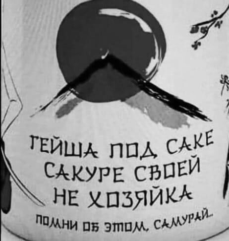 11 _ ГЁЙША ППА СЕ САКУРЕ стЁПЕИ _ нг хпзяикд пил суми и из этим