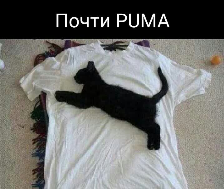 Почти РЦМА