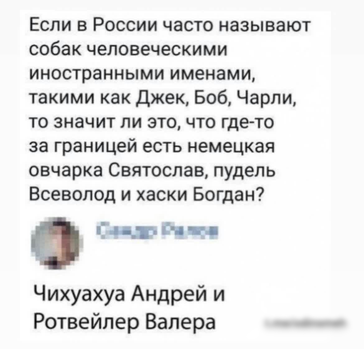 Если в России часто называют собак человеческими иностранными именами такими как джек Боб Чарли то значит ли это что гдето за границей есть немецкая овчарка Святослав пудель Всеволод и хаски Богдан ч Чихуахуа Андрей и Ротвейлер Валера