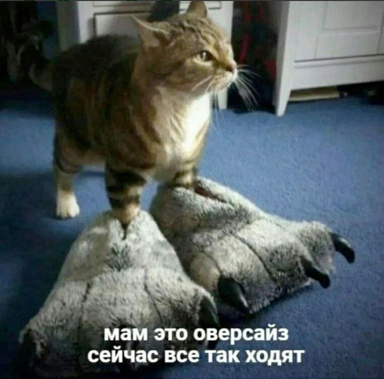 м _ это оверсайз сейчас все так тдят