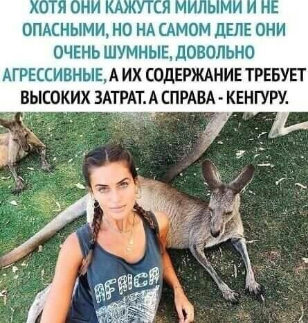 ОПАСНЫМИ НО НА САМОМ ДЕЛЕ ОНИ ОЧЕНЬ ШУМНЫЕ ДОВОЛЬНО АГРЕССИВНЫЕ А ИХ СОДЕРЖАНИЕ ТРЕБУЕТ ВЫСОКИХ ЗАТРАТ А СПРАВА КЕНГУРУ