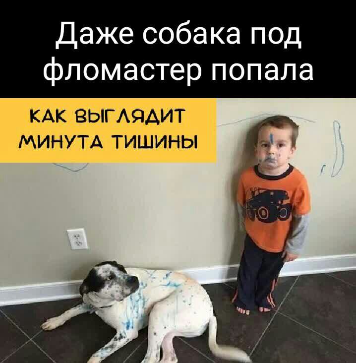 Даже собака под фломастер попала