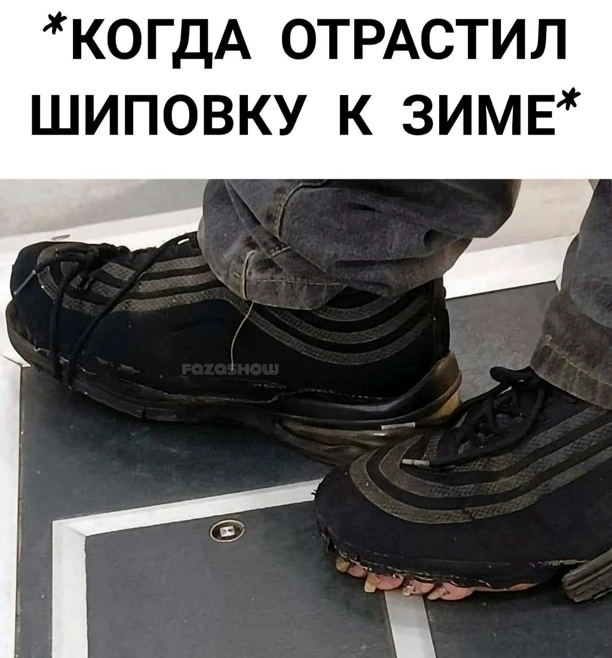 КОГДА ОТРАСТИП ШИПОВКУ К ЗИМЕЖ