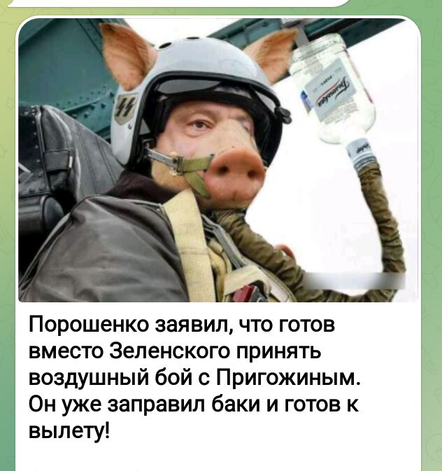 ПОРОШЕНКО заявил ЧТО ГОТОВ вместо Зеленского принять воздушный бой с Пригожиным Он уже заправил баки и готов к вылету