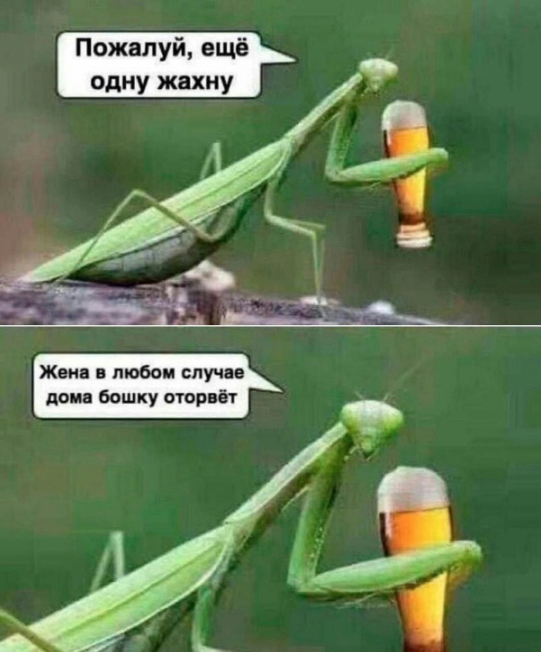 Пожалуй ещё одну ЖВХМУ