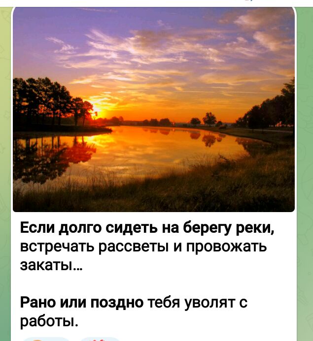 Если долго сидеть на берегу реки встречать рассветы и провожать закаты Рано или поздно тебя уволят работы