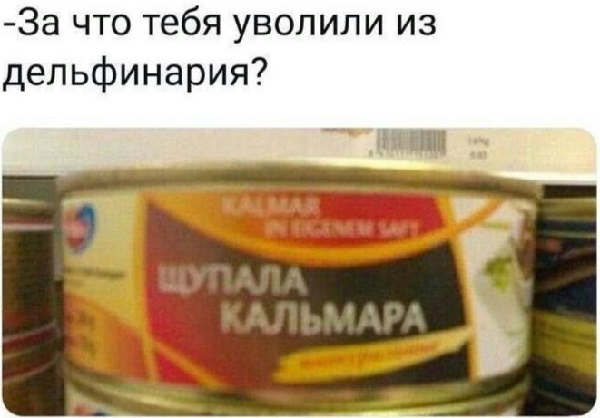 За что тебя уволили из дельфинария