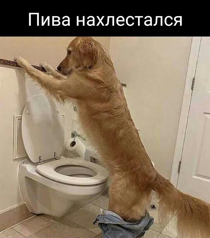 Пива нахлестался ъэ