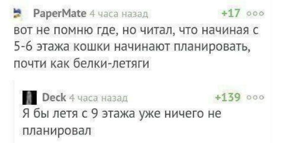 Рарегмае 4 гд 17 м вот не помню где на читал что начиная с 5 6 ЭТЭЖЗ КОШКИ начинают ПЛЗНИРОВЗТЬ ПОЧТИ как бЕЛКИШЕТЯГИ пки ты и 139 Я бы петя с 9 этажа уже ничего не планировал
