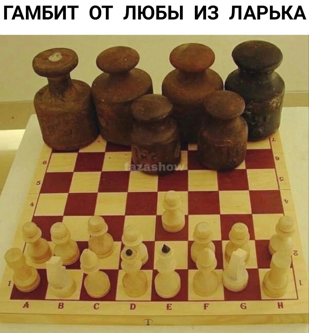 ГАМБИТ ОТ ПЮБЫ И3 ЛАРЬКА