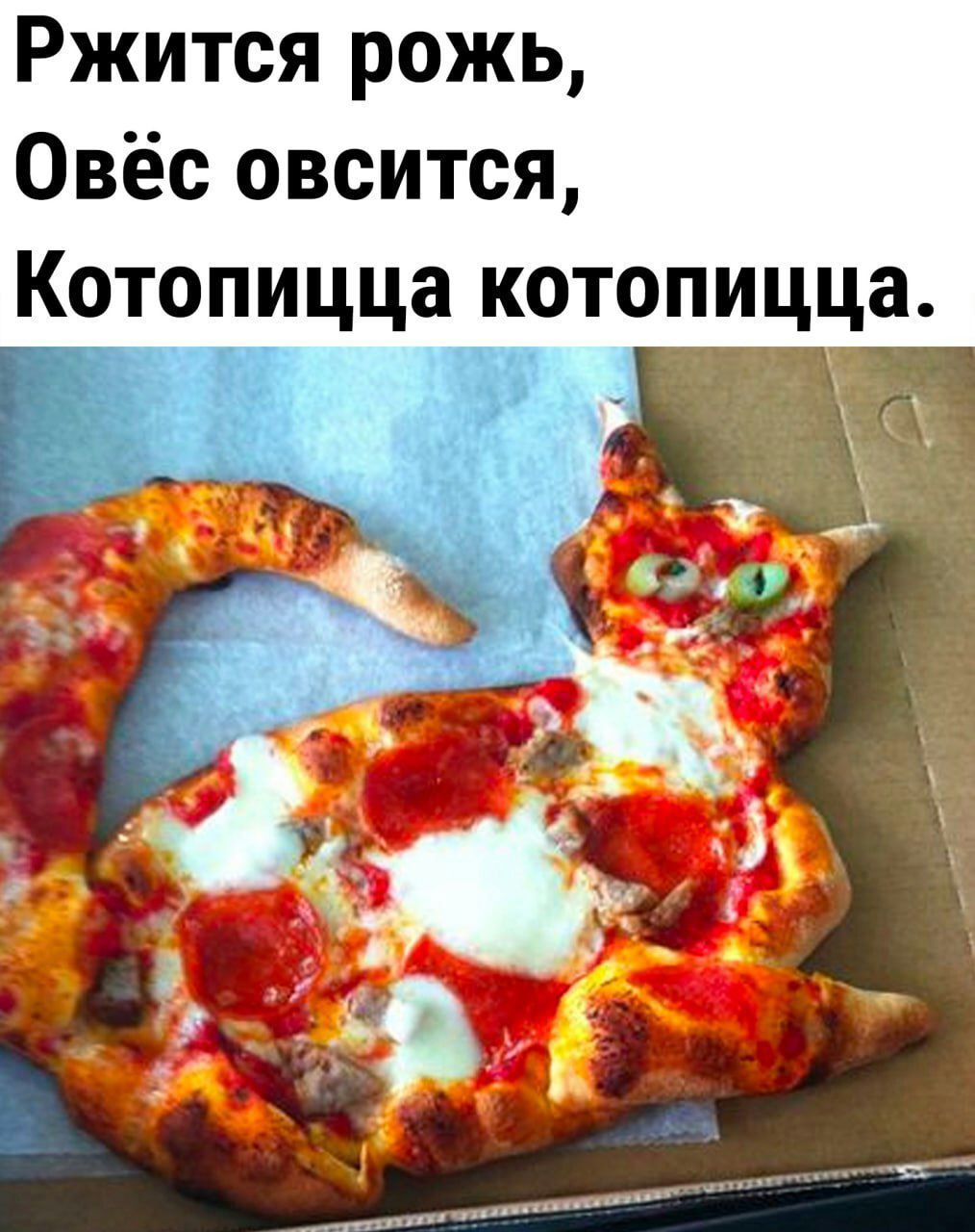 Ржится рожь Овёс овсится Котопицца котопицца