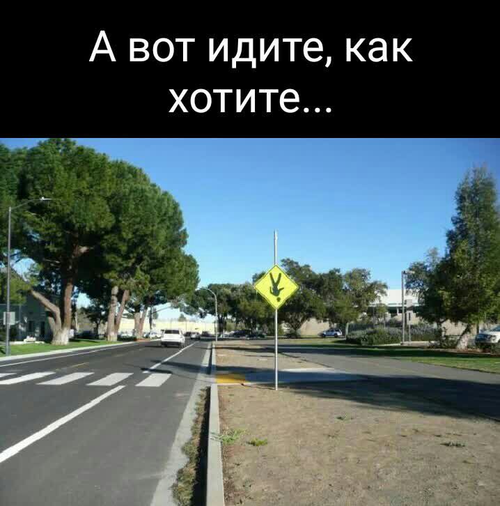 А вот идите как хотите