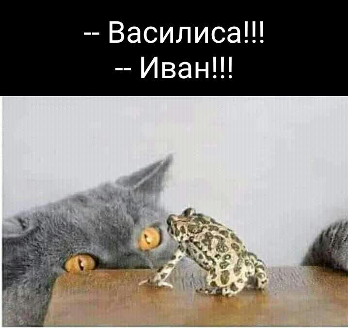 Василиса Иван