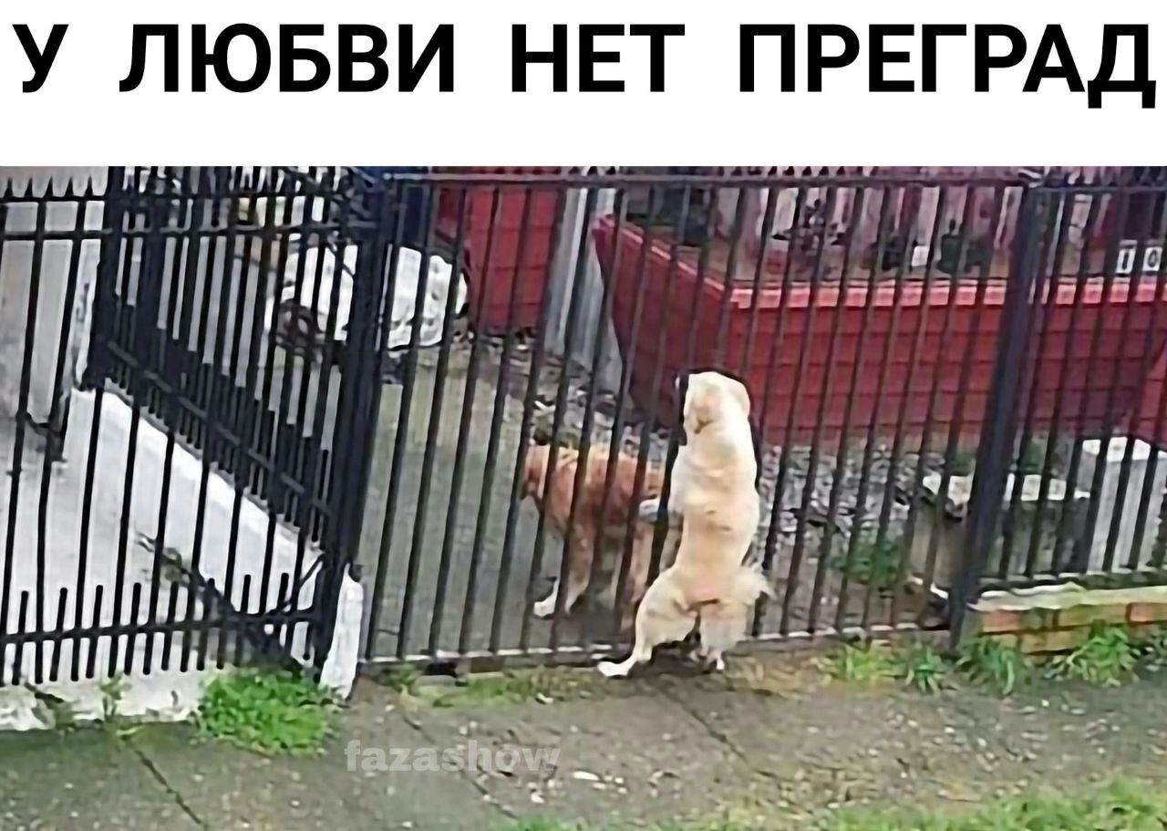 У ЛЮБВИ НЕТ ПРЕГРАД