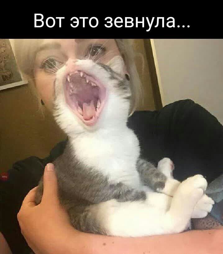 Вот это зевнула