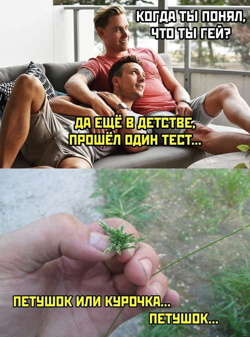 КПГ ИТБПППНЯП 4413 ПЕТНШПК ИЛИ КНРПЧКИ ПЕТНШЦК м