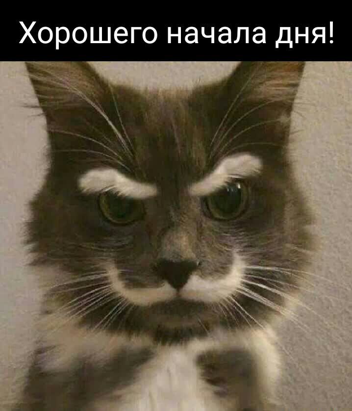 Хорошего начала дня