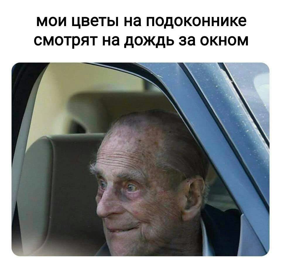 МОИ цветы на ПОДОКОННИКе СМОТРЯТ на дОЖдЬ за ОКНОМ