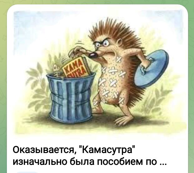 Оказывается Камасутра изначально была пособием по