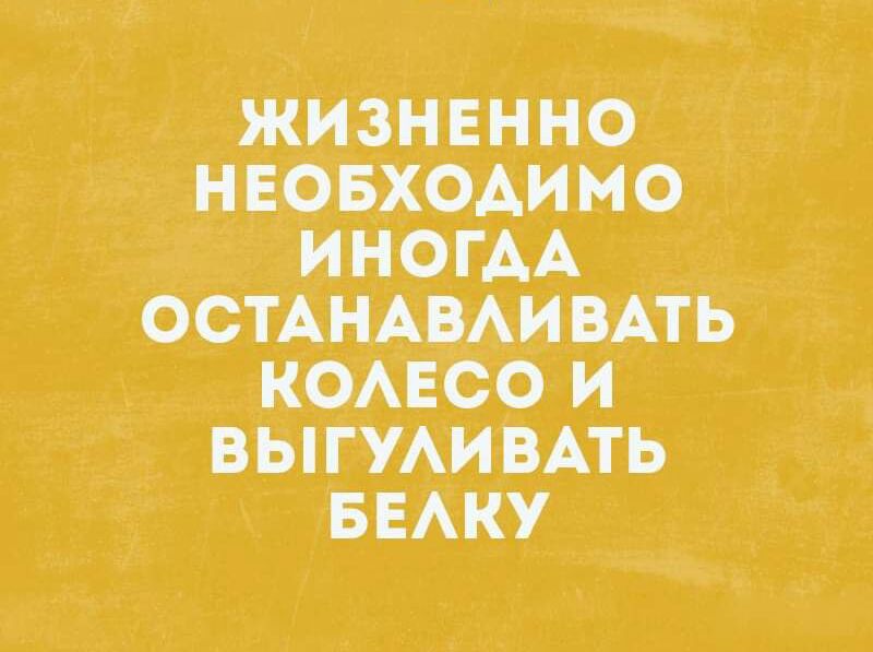 жизнвн но нЕевхоАимо ИНОГАА бстАНАВАи ВАть коЕсо и выпи ВА ТЬ БЕАКУ