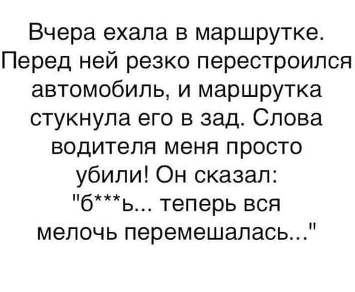 Вчера ехала в маршрутке Перед ней резко перестроился автомобиль и маршрутка стукнула его в зад Слова водителя меня просто убили Он сказал бь теперь вся мелочь перемещалась