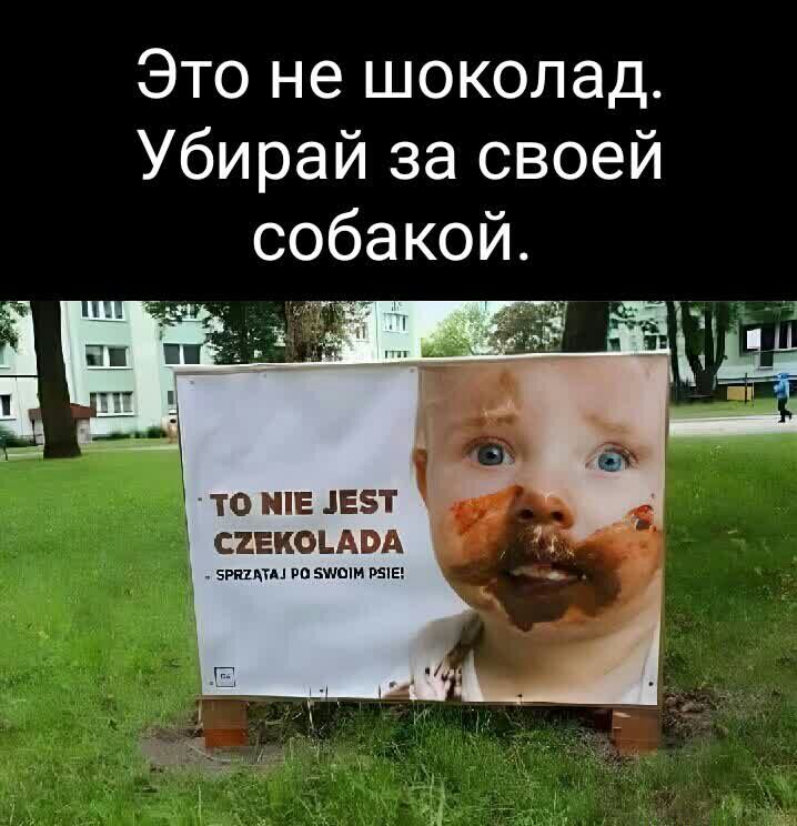 Это не шоколад Убирай за своей собакой ТО Е 1Е5Т С2ЕКОЪАВА ш щ _