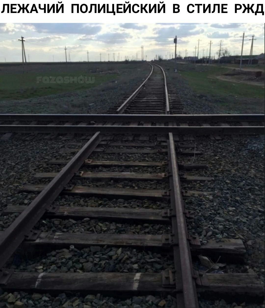 ЛЕЖАЧИЙ попицьгйский в СТИЛЕ ржд