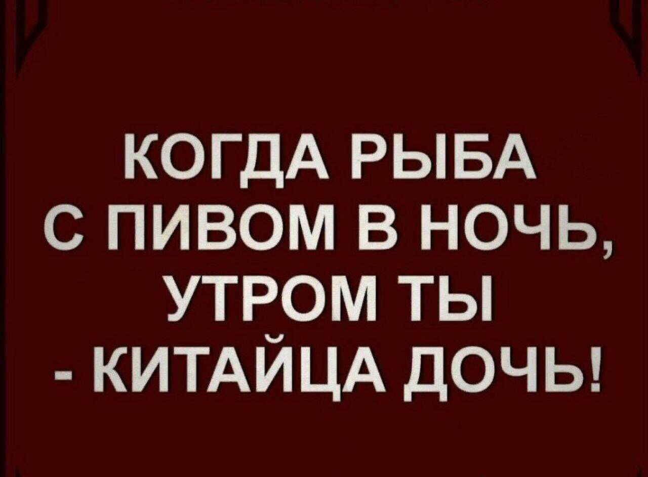 КОГДА РЫБА С ПИВОМ В НОЧЬ УТРРМ ТЫ КИТАИЦА ДОЧЬ