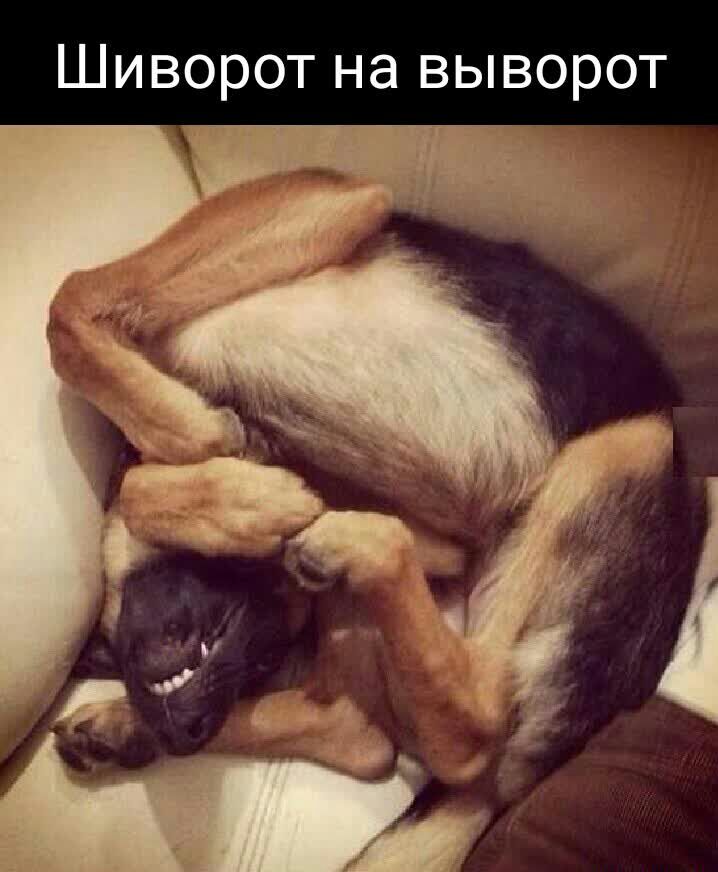 ШИВОРОТ НЭ ВЫВОРОТ