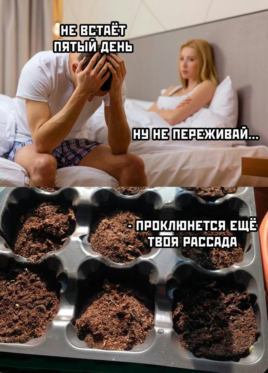 діщпщппнвт