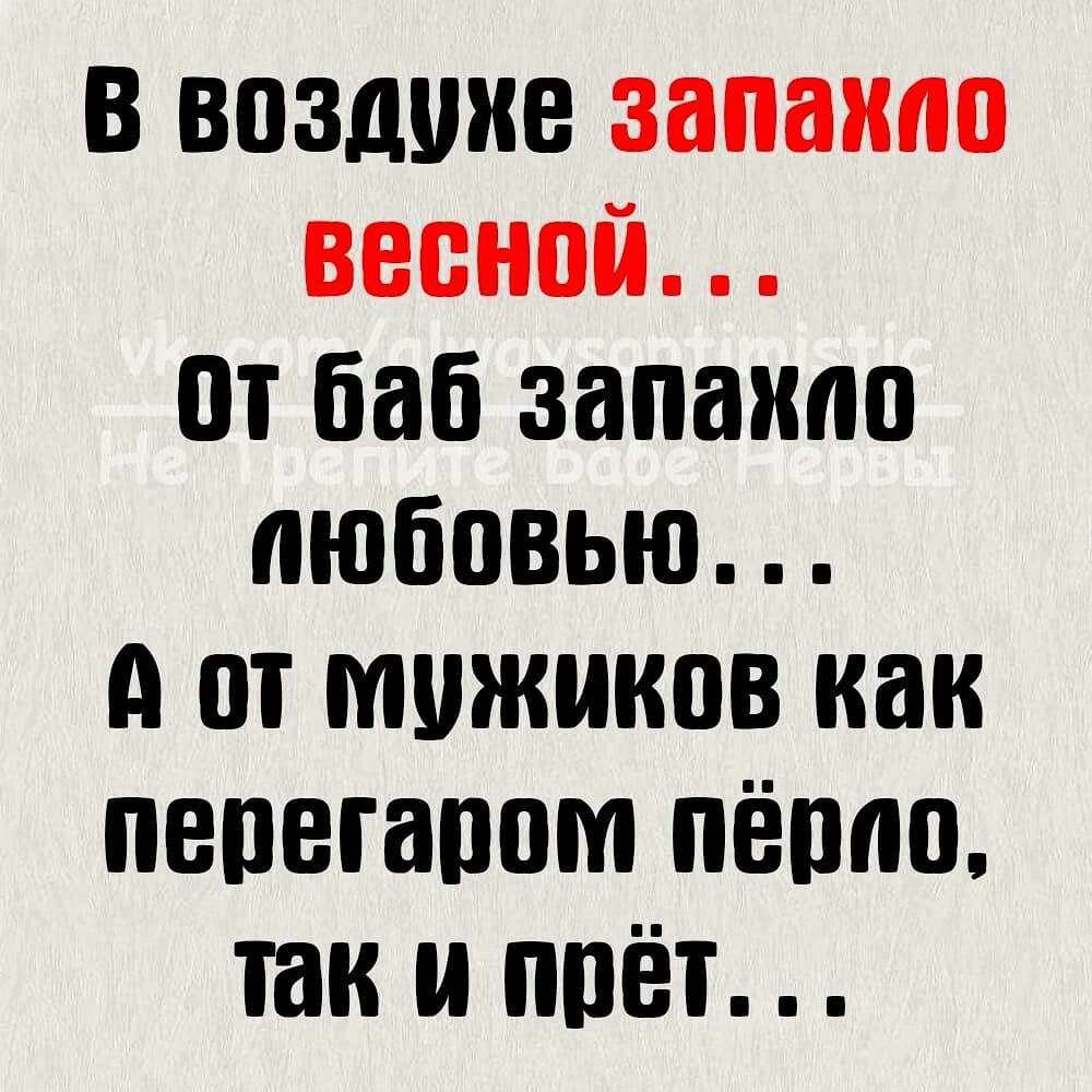 в воздухе запахло весной от баб запаипп любовью А от мужиков как пепегапом пёппо так и ппёт