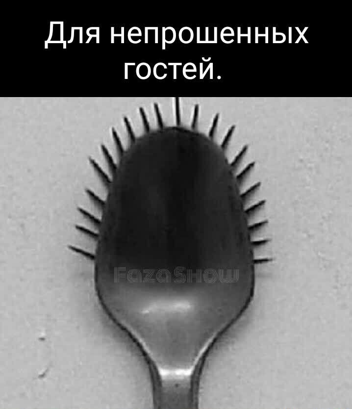 Для непрошенных гостей