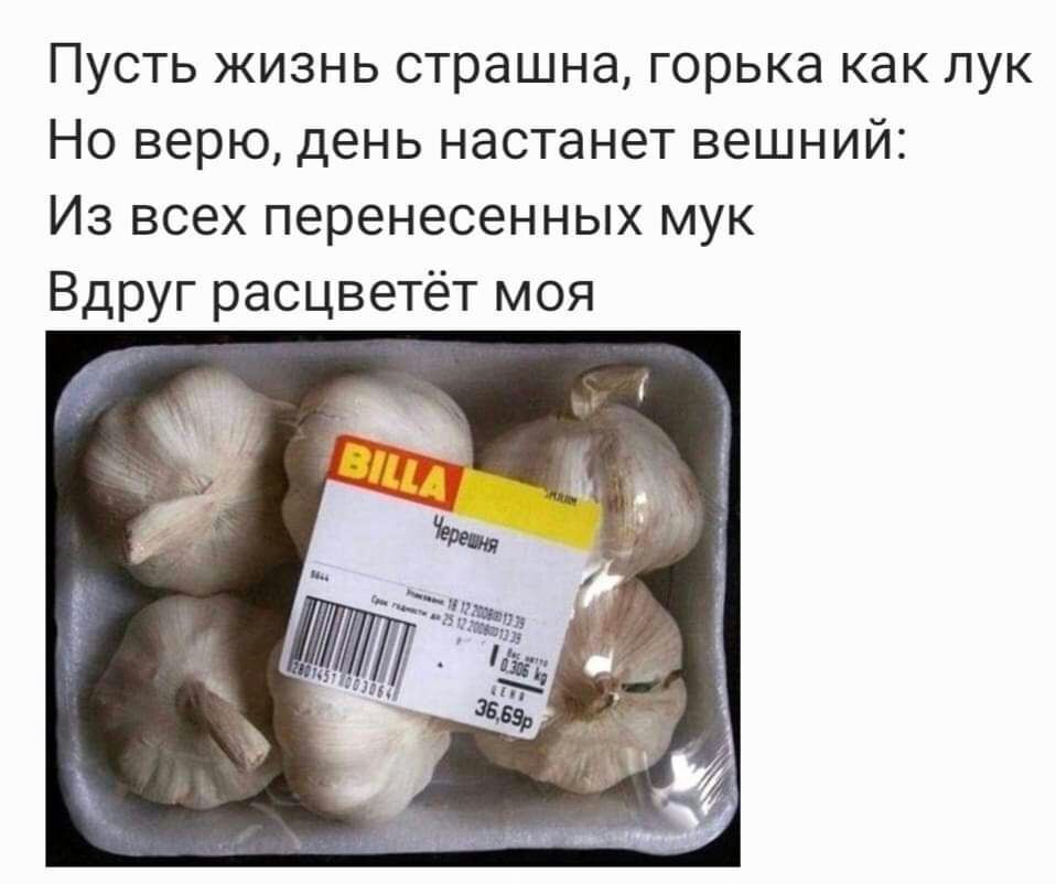 Пусть жизнь страшнат горька как лук Но верю день настанет вешний Из всех перенесенных мук Вдруг расцветет моя