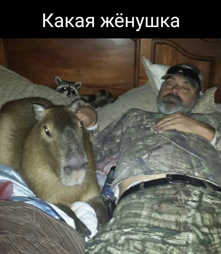 Какая жёнушка