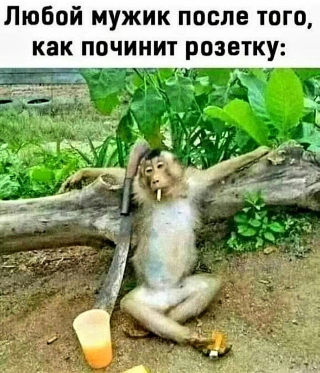 Любой мужик после того как починит розетку к _ к