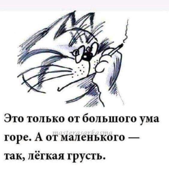 Это только от большого ума горе А от маленького так лёгкая грусгь