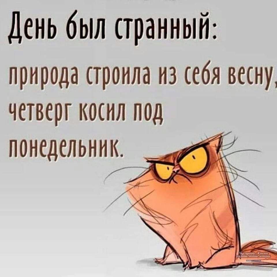 День был странный прироца строила из себя весну четверг косил под понедельник