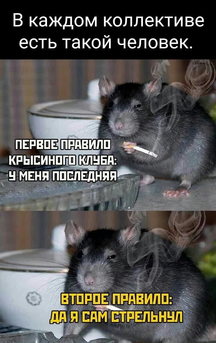 В каждом коллективе есть такой человек д м