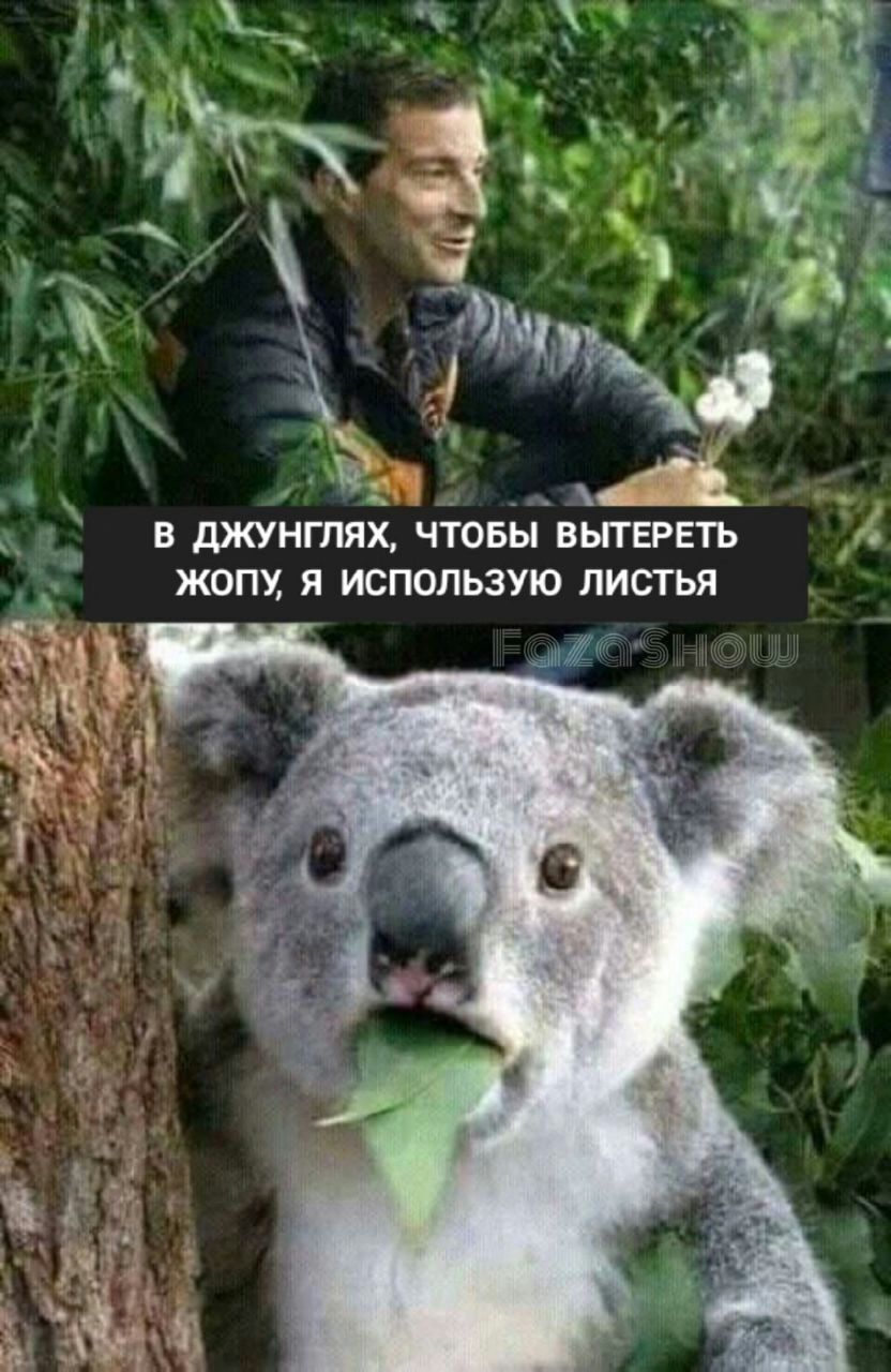 В дЖУНГПЯХ ЧТОБЫ ВЫТЕРЕТЬ ЖОПУ Я ИСПОЛЬЗУЮ ПИСТЪЯ