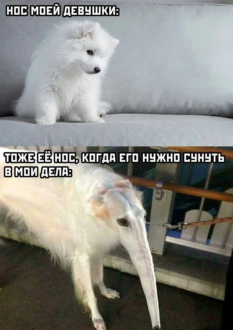 ЕЗЕШШ